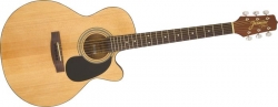 Akustična gitara JASMINE S34C