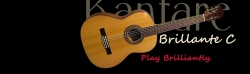 Klasična Gitara Kantare L100C